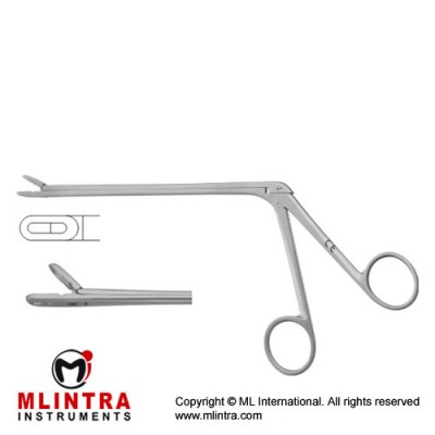 Leminectomy Rongeur Straight - Fenestrated and Serrated Jaws Stainless Steel, 15.5 cm - 6" Bite Size 2 x 12 mm
